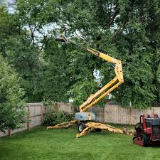 Best Tree Mulching  in Lanster, CA